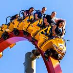 Great America Amusement Park