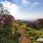 Craggy Pinnacle Hike