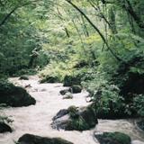 Oirase keiryū Gorge