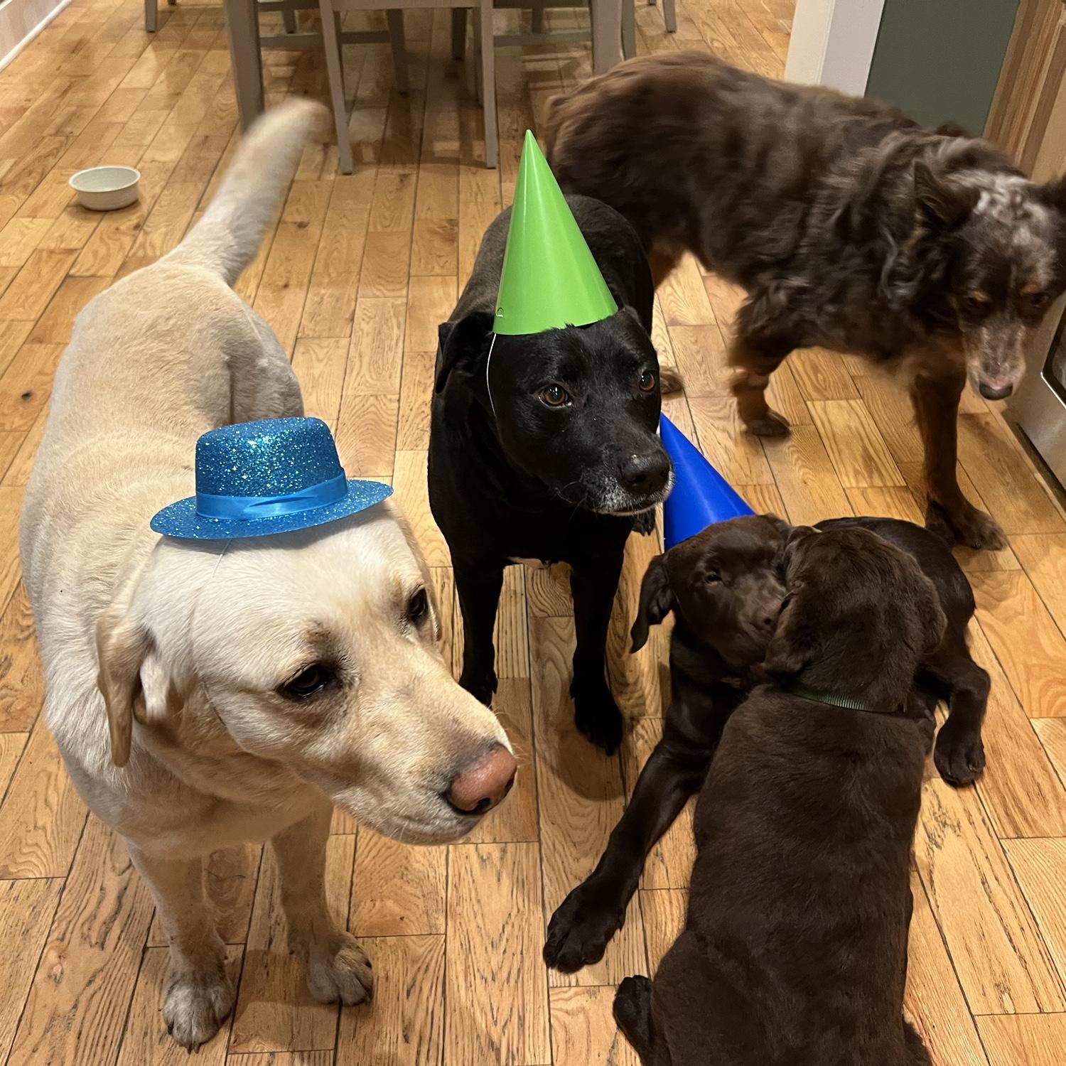 One of many parties