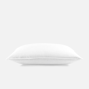 Down Alternative Pillow 2pk