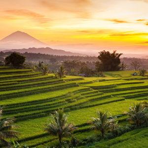Cycling Tour at Jatiluwih World Heritage site in Bali