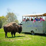 Grant's Farm