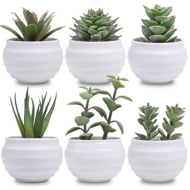 Der Rose Set of 6 Succulents Plants Artificial in Pots Small Fake Plants for Bedroom Aesthetic Living Room Office Shelf Bathroom Decor