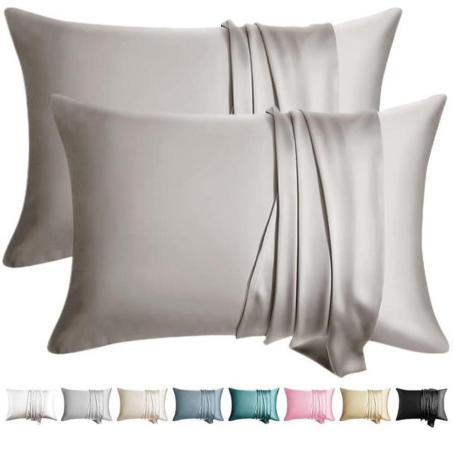 WLOSJ 100% Silk Pillow Cases 2 Pack Queen Size Mulberry Silk Pillowcase for Hair and Skin Set of 2 Highest Grade 6A Silk Soft Breathable Cooling with Hidden Zipper, Grey