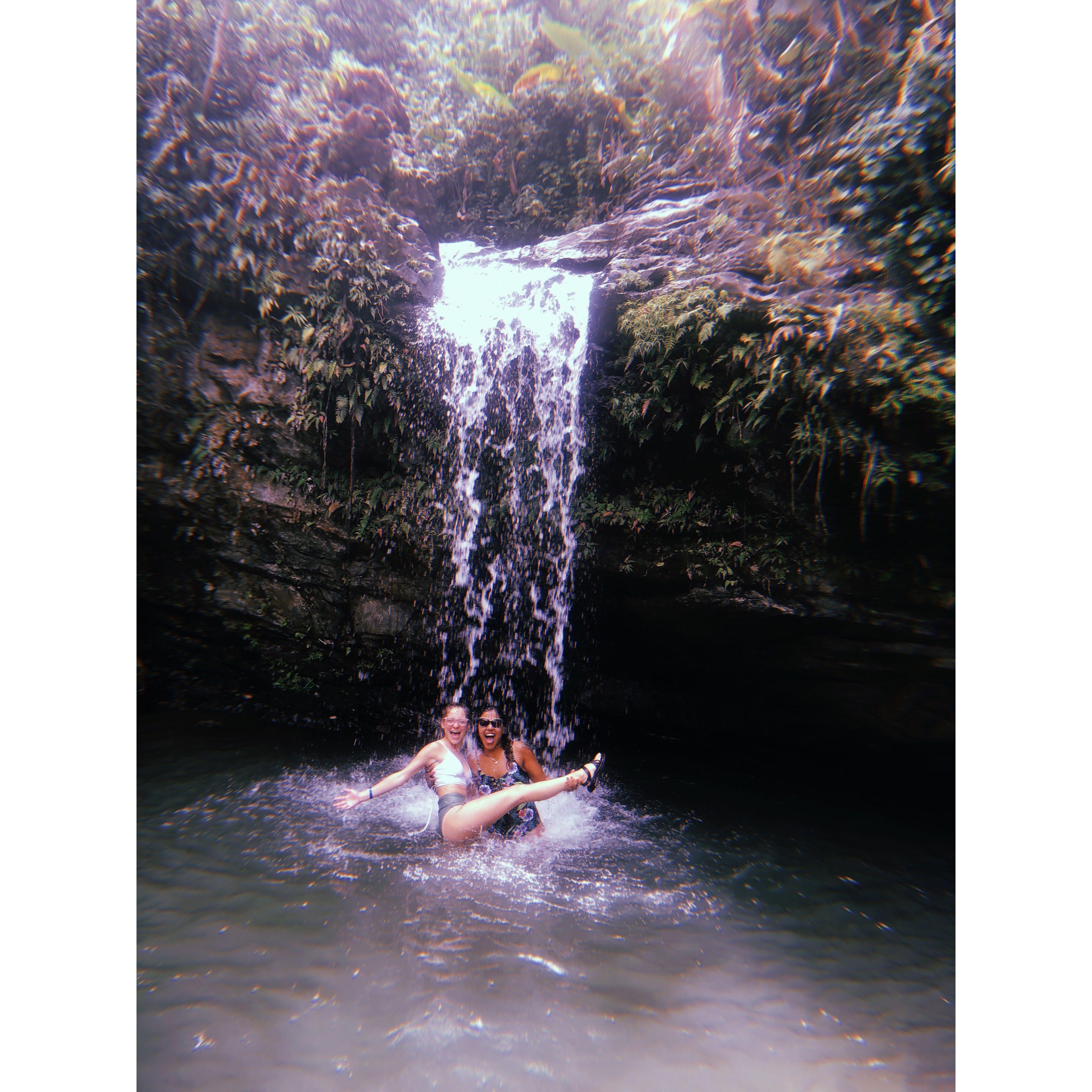 El Yunque Rainforest, 2019