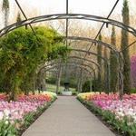 Cheekwood Estate and Gardens