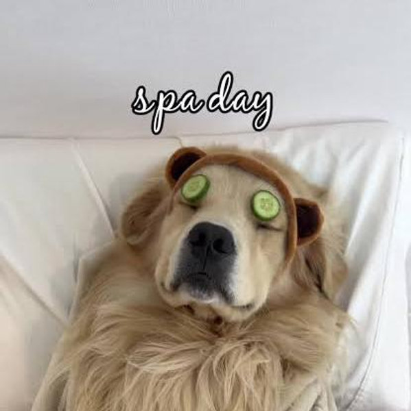 Honeymoon Spa Day Fund
