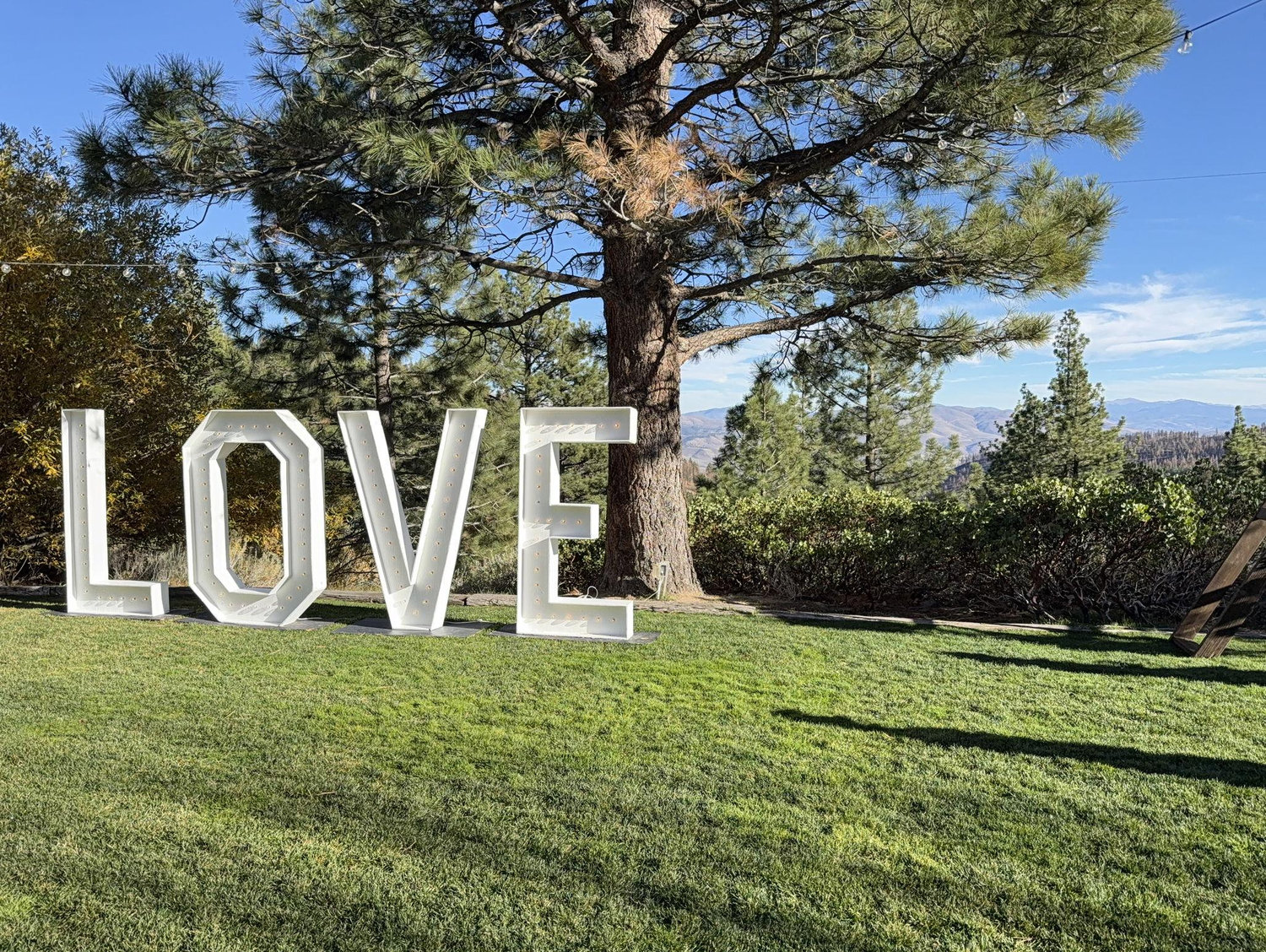 The Wedding Website of Jessica Trueblood and Alex Tejeda
