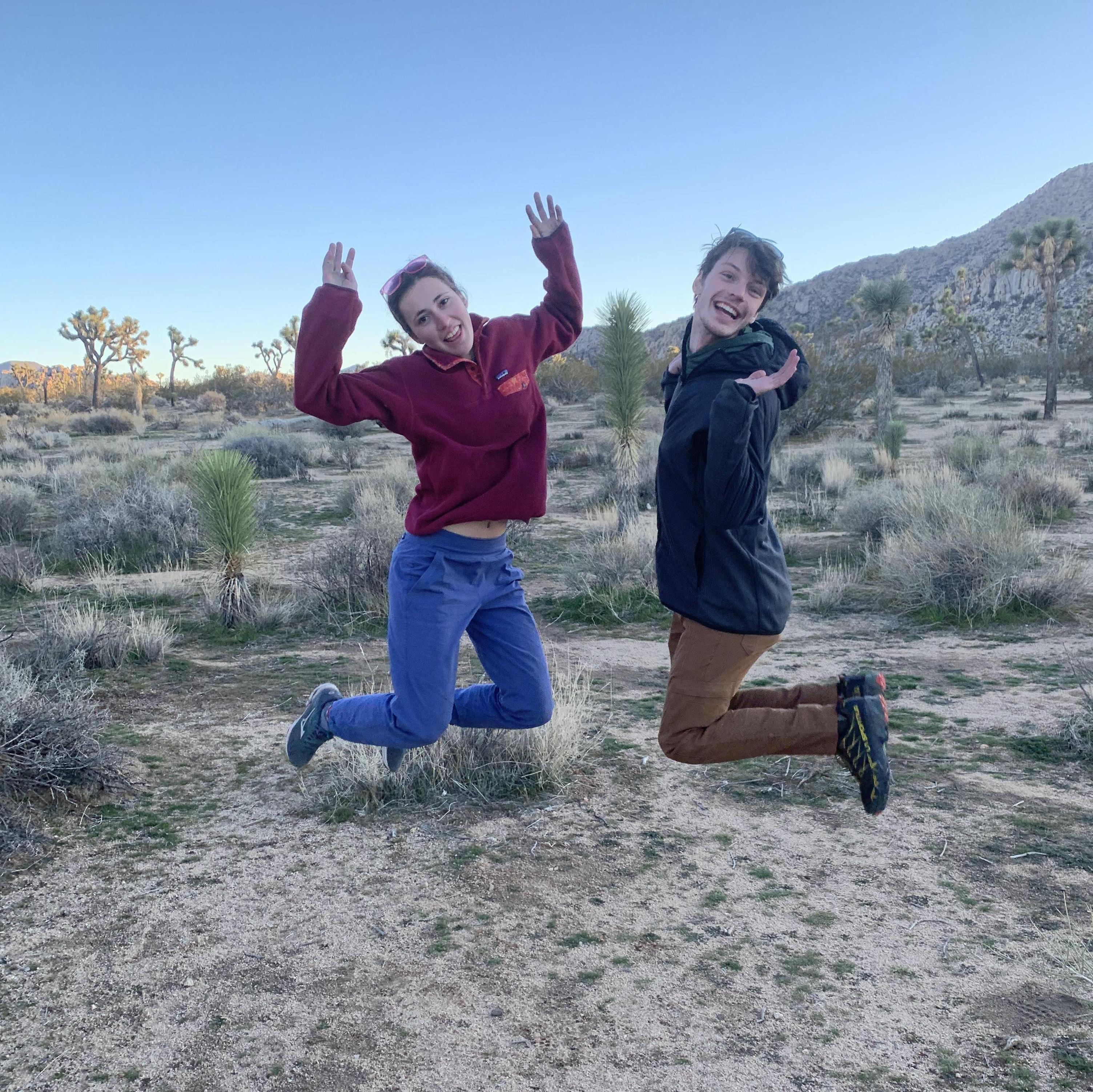 Joshua Tree.