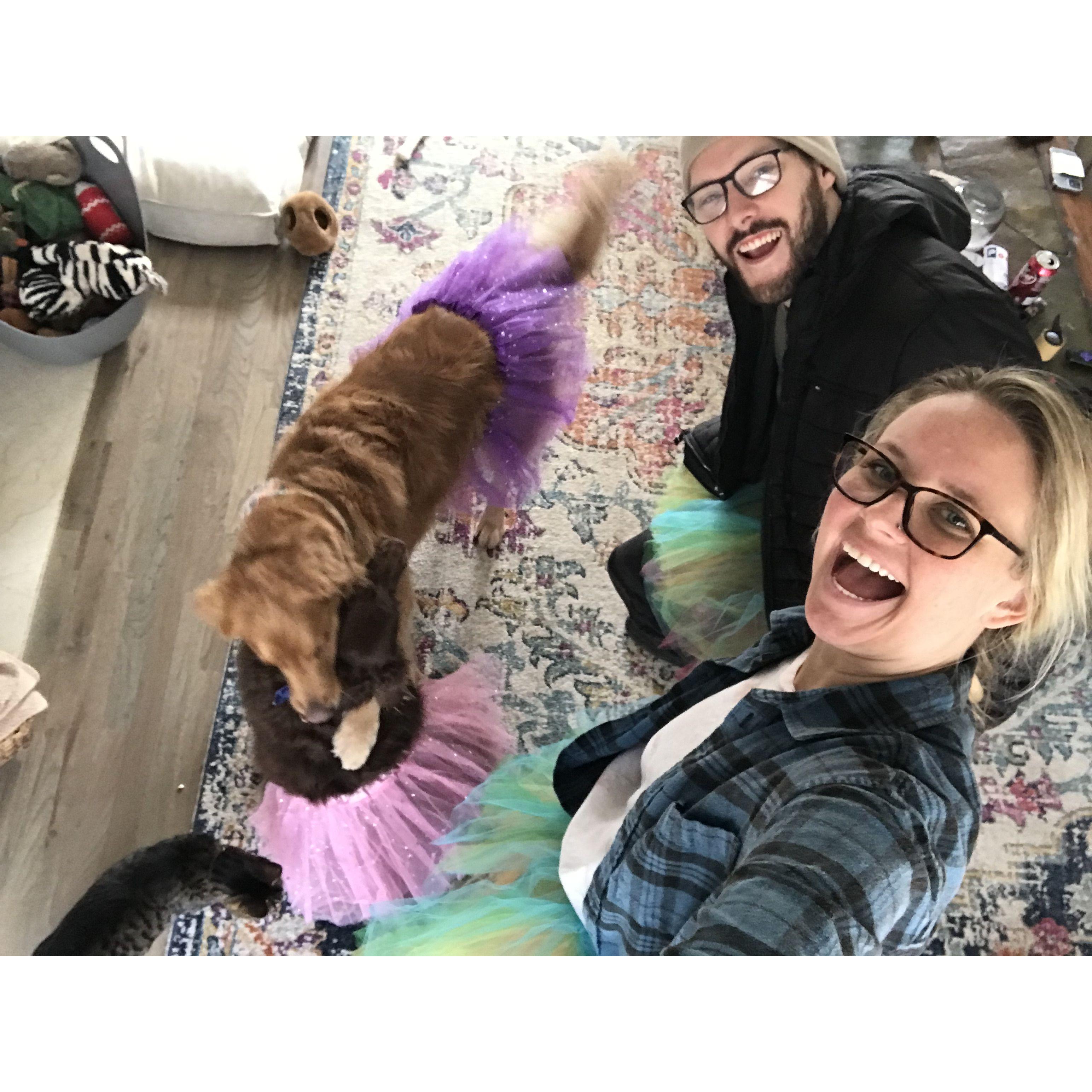 Tutus and pups - 2022