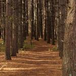 Hartley Nature Center