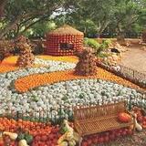 The Dallas Arboretum and Botanical Garden