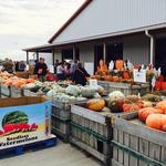 Lynd Fruit Farm Giant Corn Maze