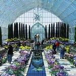 Como Park Zoo & Conservatory