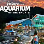 Ripley's Aquarium of the Smokies