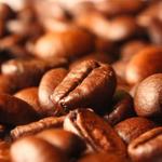 Spill the Beans