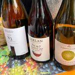 Girlan Wine Tour