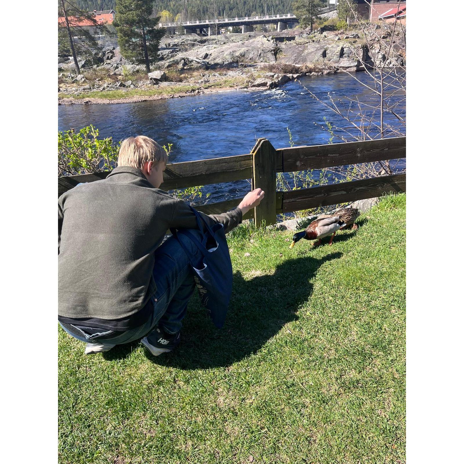 Marius always asks Hanna if she wants to feed the ducks, when in reality it's for him. Spring 2025