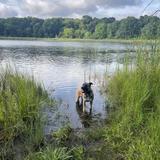 Holly Recreation Area