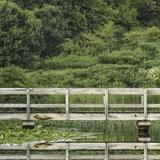 Cornell Botanic Gardens