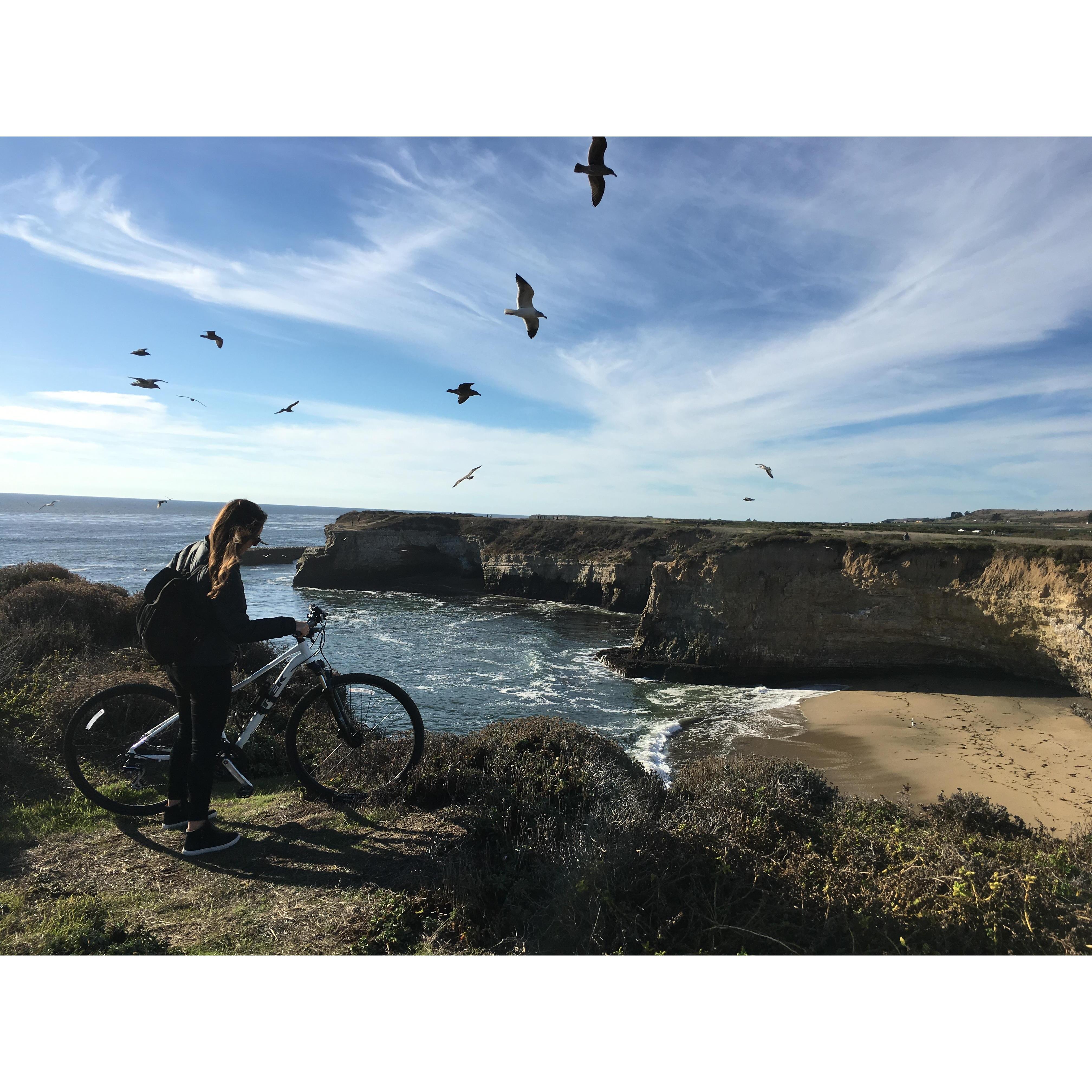 New bike! Santa Cruz - November 2017