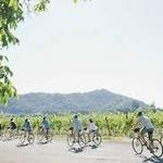 Napa Valley Bike Tours & Rentals