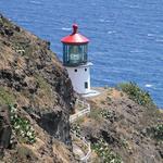 Makapuʻu Point Lighthouse Trail