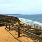 Torrey Pines State Reserve