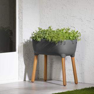 Dalya Raised Planter