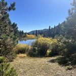 🏔️Golden Gate Canyon State Park
