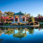 Forest Park