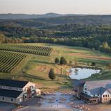 Stone Tower Winery