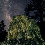 Florissant Fossil Beds National Monument