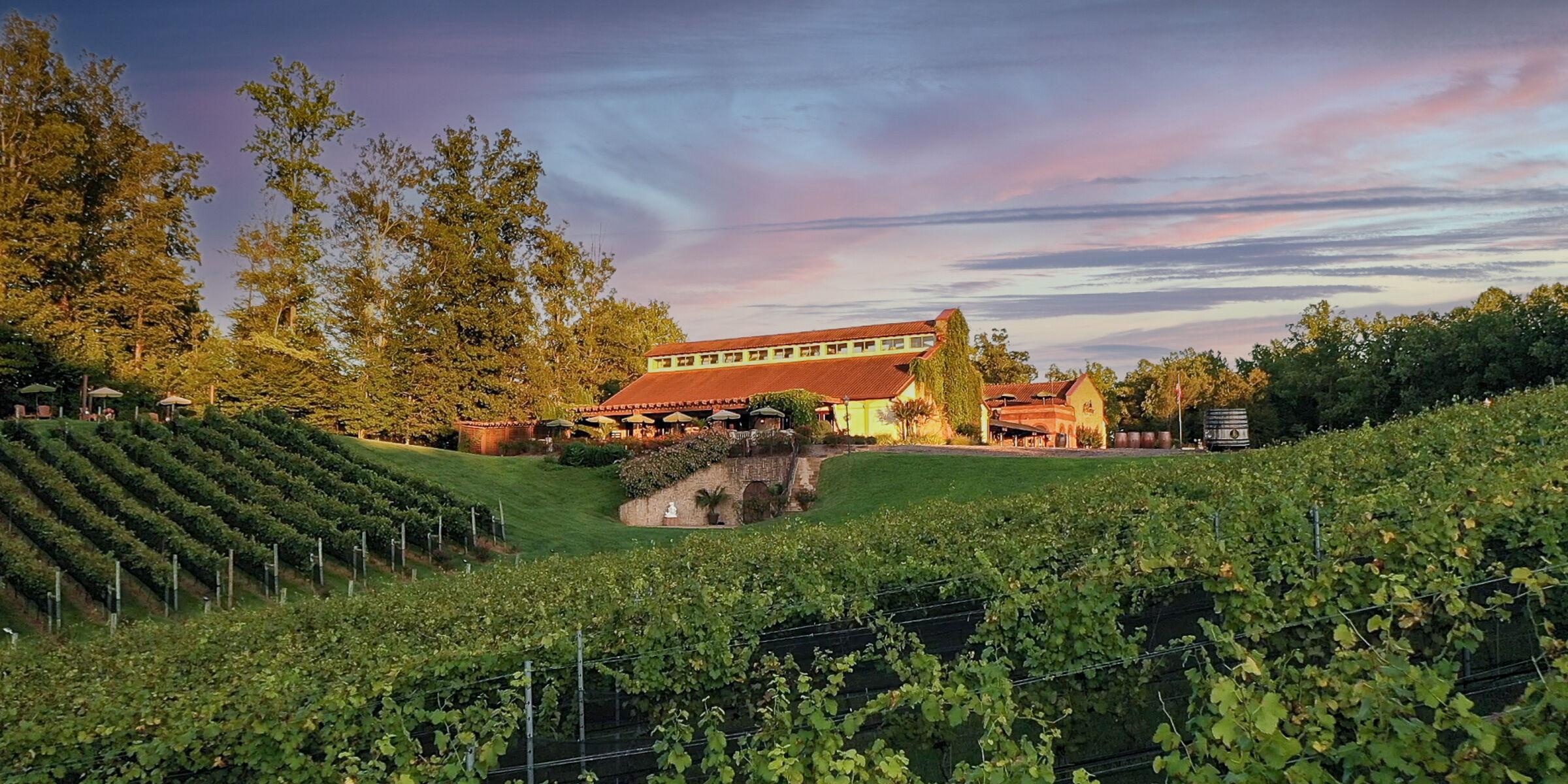 The Wedding Website of Morgan Wood and Lauren Bochonok