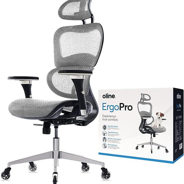 Oline ErgoPro Ergonomic Office Chair - Rolling Desk Chair with 3D Adjustable Armrest, 3D Lumbar Support and Blade Wheels - Mesh Computer Chair, Gaming Chairs, Executive Swivel Chair (Light Gray)