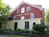 Hen of the Wood - Waterbury