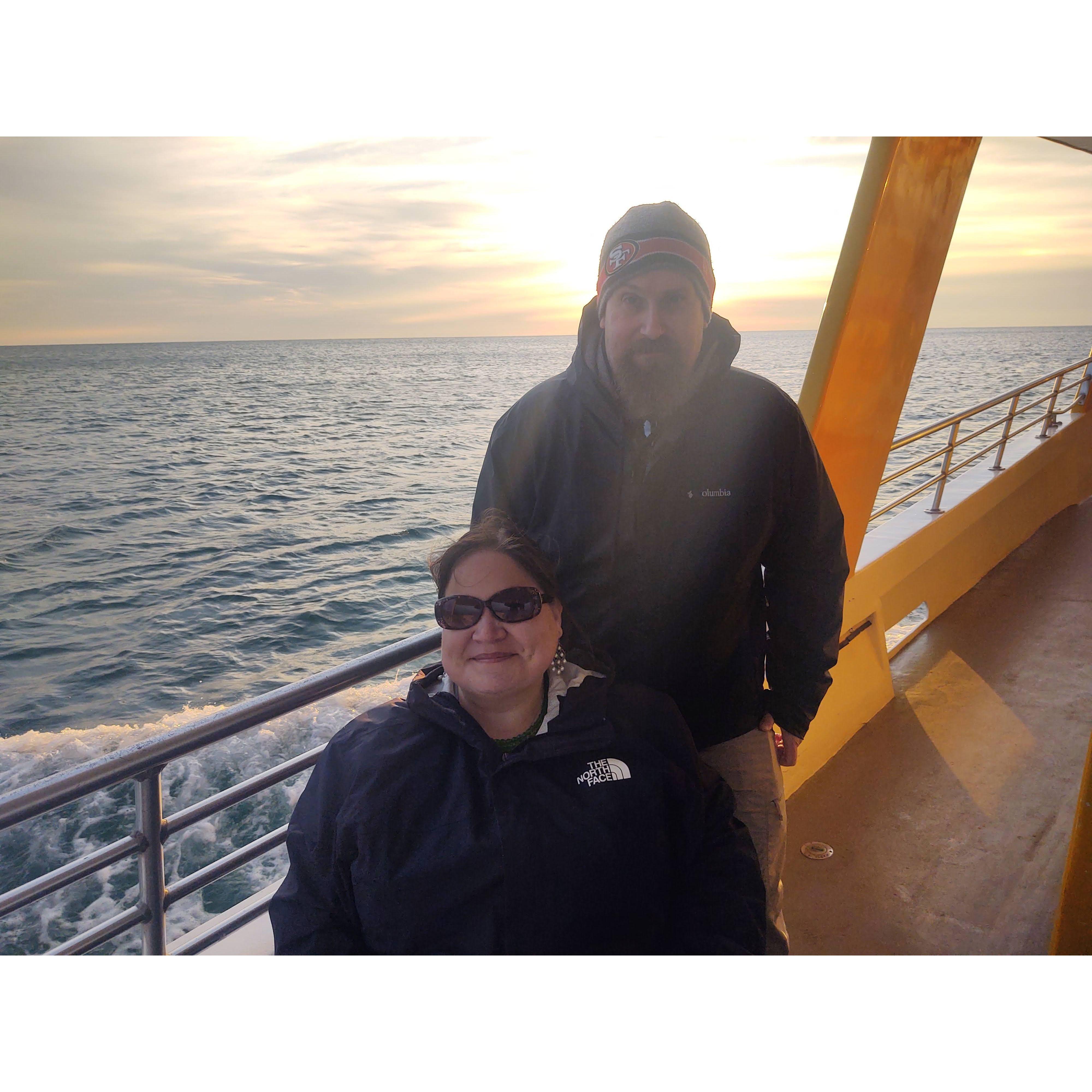 Dolphin Sightseeing in Florida