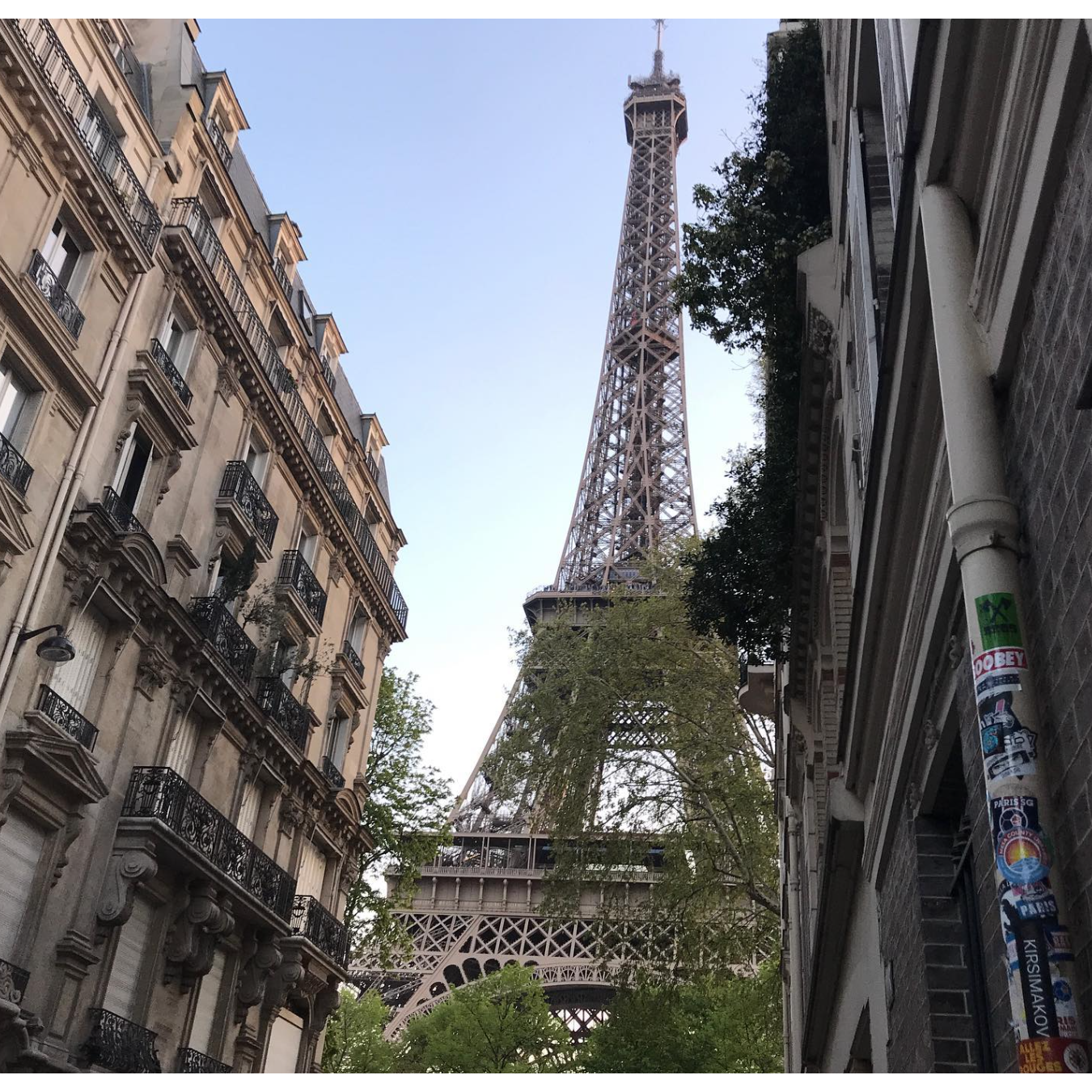 Joey in Paris