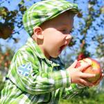 Fobare's Fruits