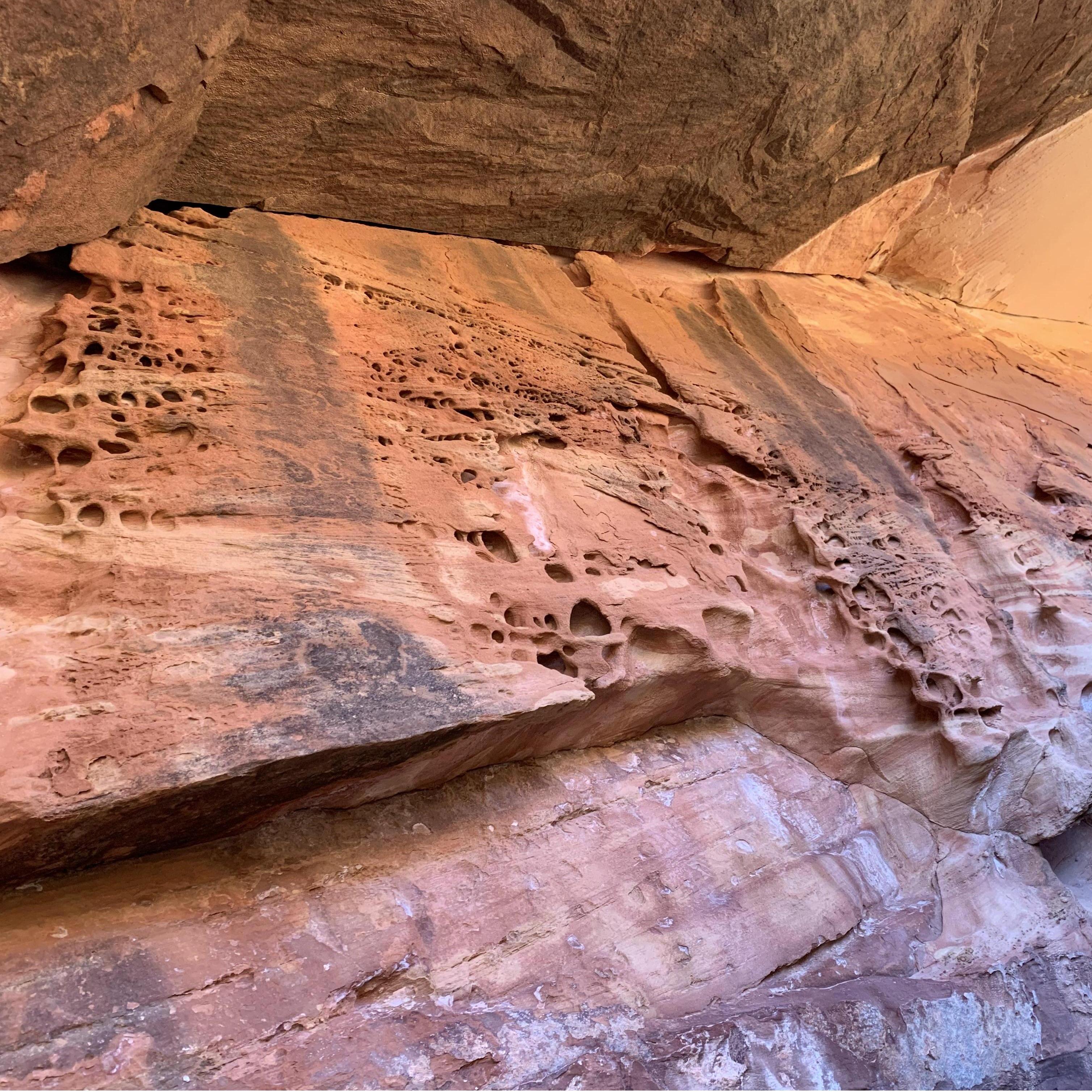 Some very cool rock texturing in the canyon we were descending.