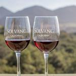 Wine Tasting and Tours