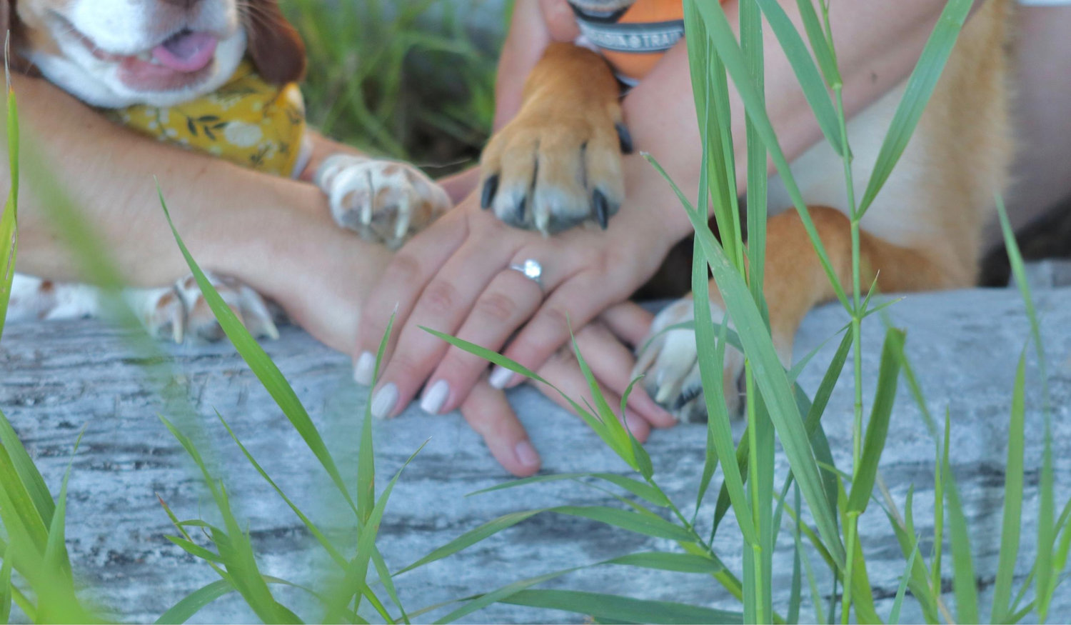 The Wedding Website of Lexie Adams and Coltin McCaughan