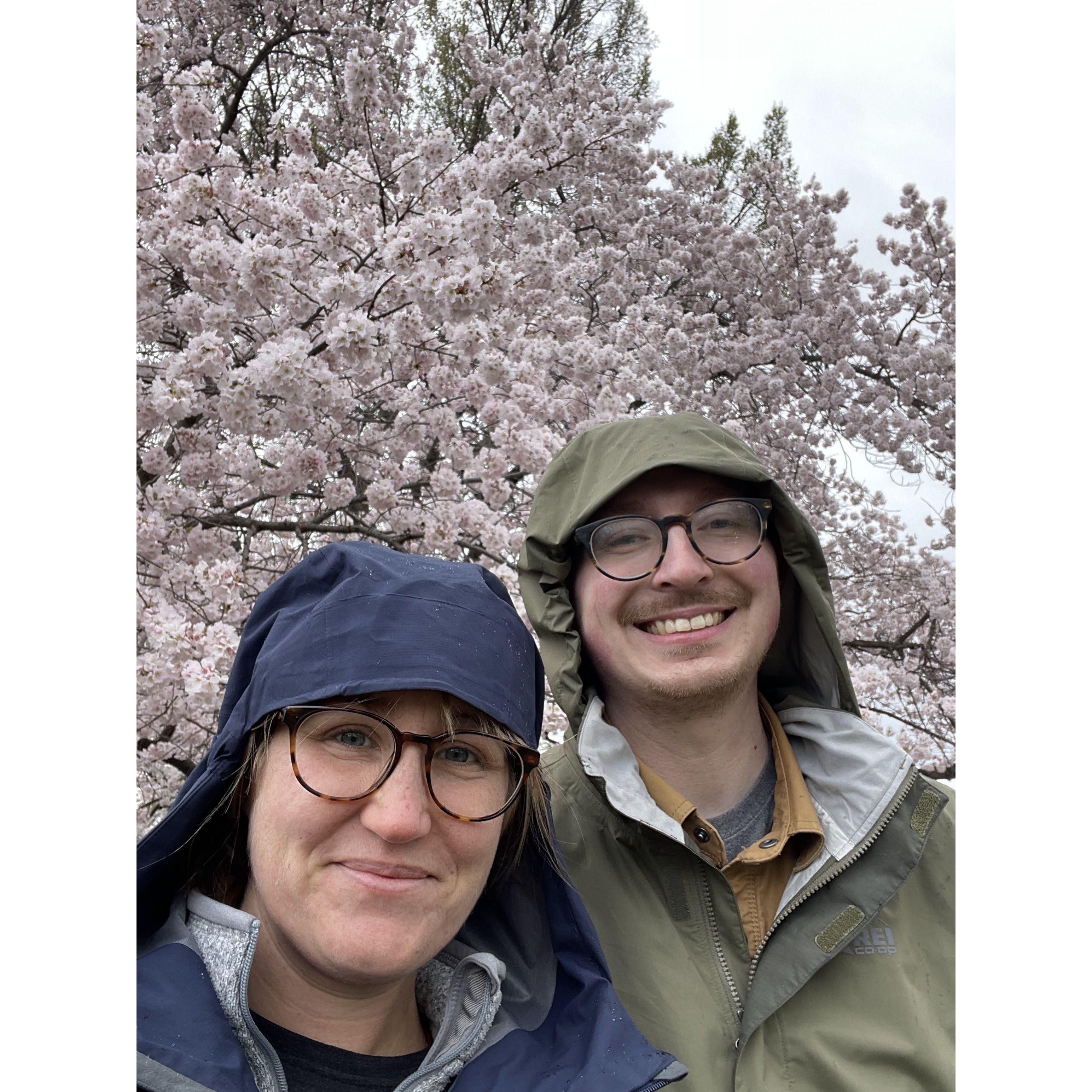 We moved to D.C. in 2022, right as the cherry blossoms were in bloom. It was hard to leave our life in Boston but we were excited to see what D.C. would bring...