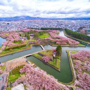 Cruise Excursion: Stop in Hakodate Japan