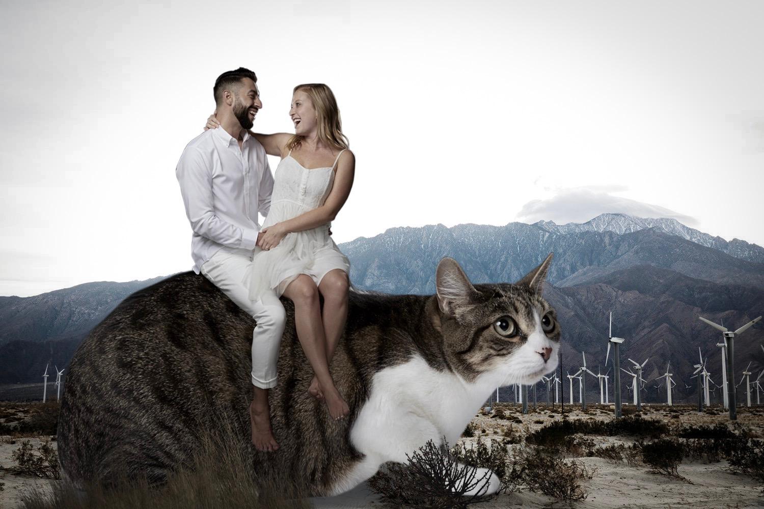 The Wedding Website of Madi Balk and Eric Reilly