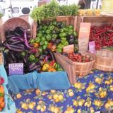 Davis Farmers Market