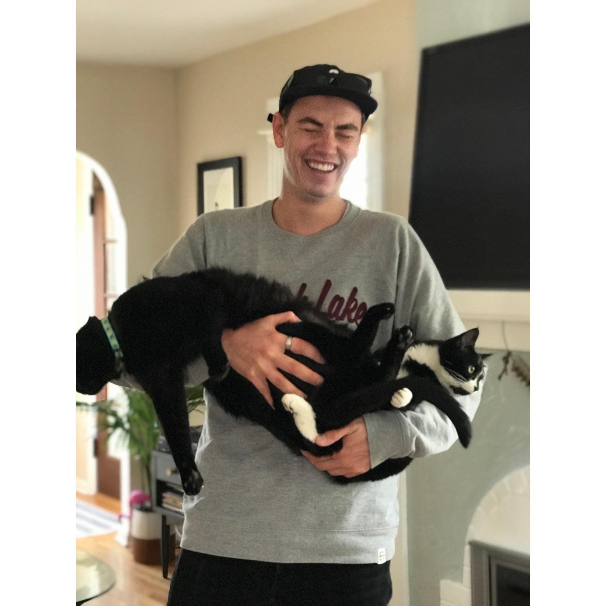 OH YEAH, WE LOVE OUR CATS!