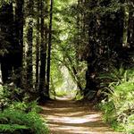 California State Parks