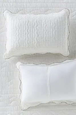Iluka Cotton Solid Floral Edge Shams, Set of 2